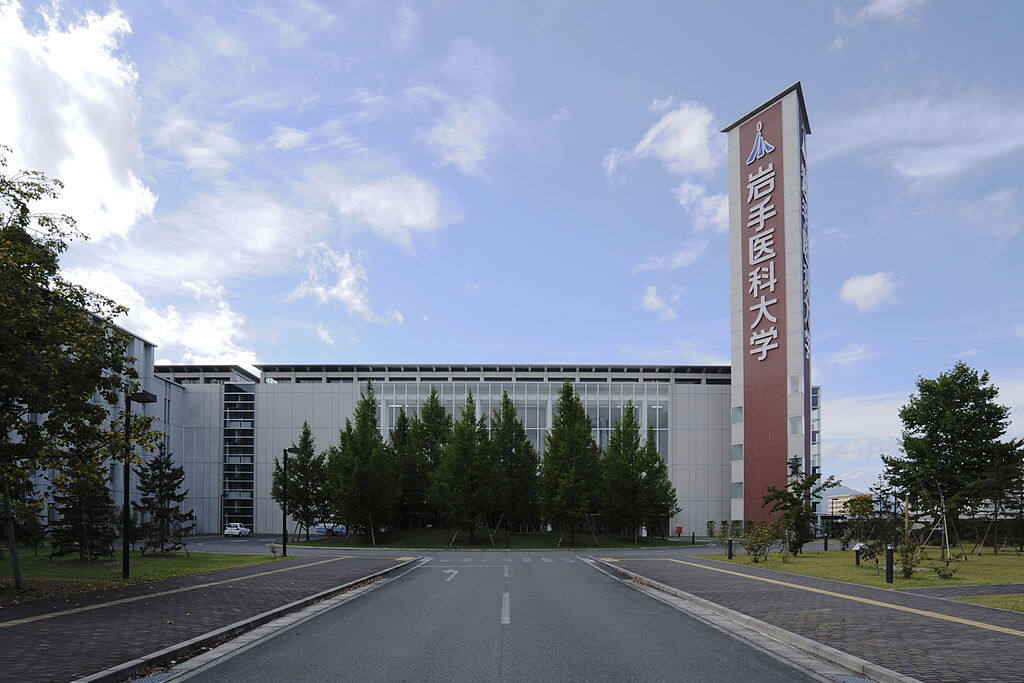 学校图片