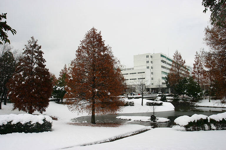 学校图片